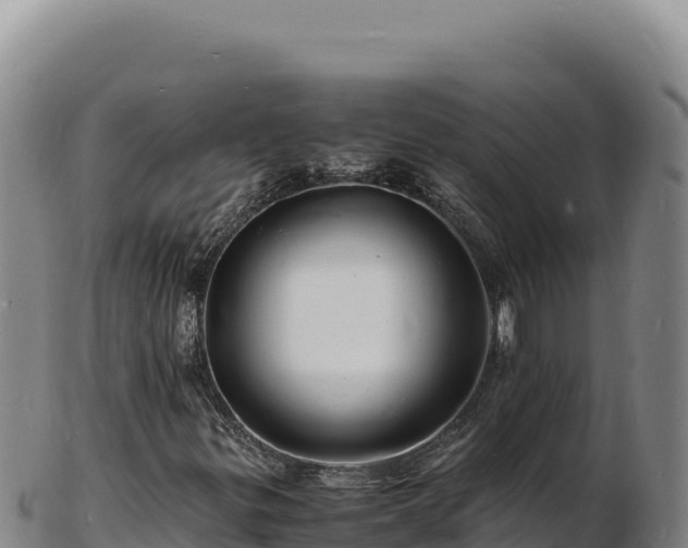 X0000103251299200809041100