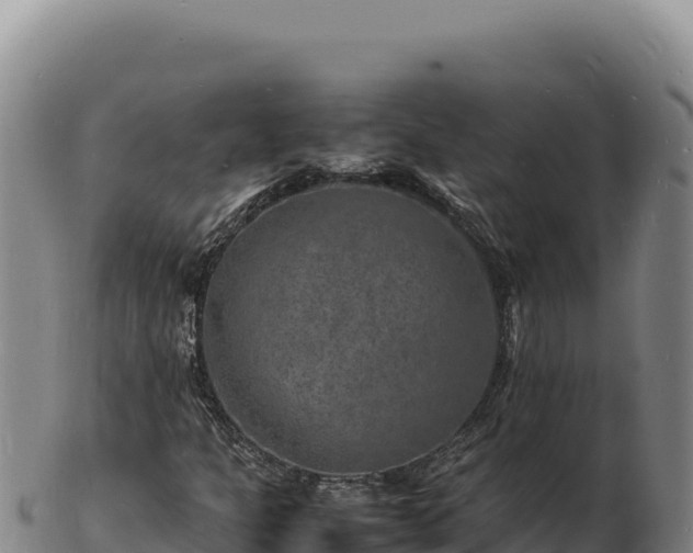 X0000103251301200809041100