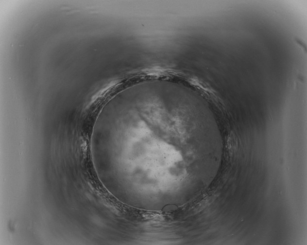 X0000103251302200809041100