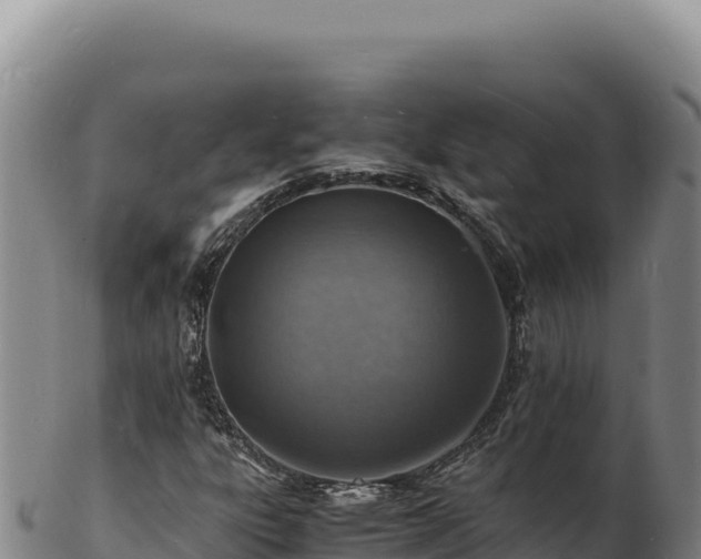 X0000103251303200809041100