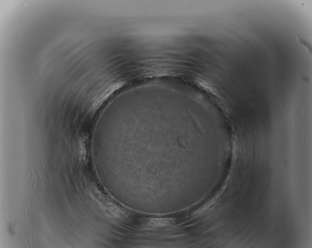 X0000103251305200809041100