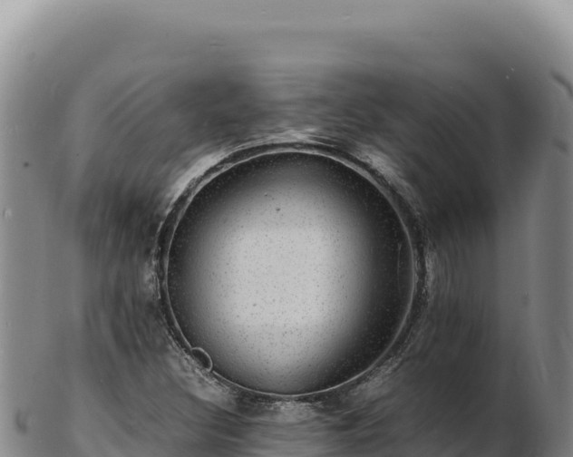 X0000103251308200809041100