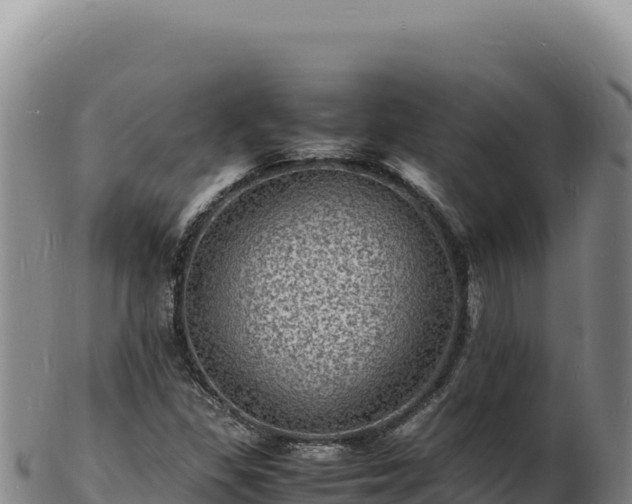 X0000103251309200809041100