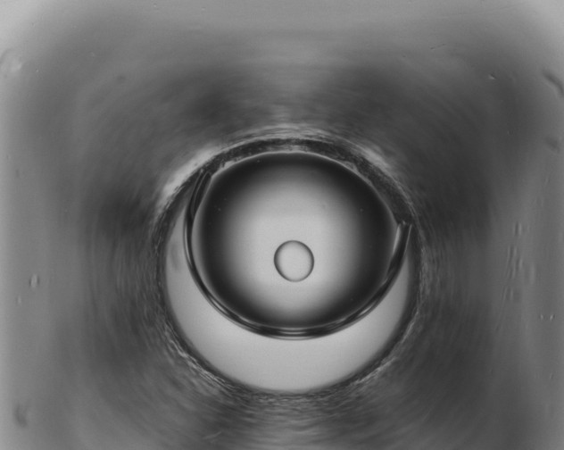 X0000103251310200809041100