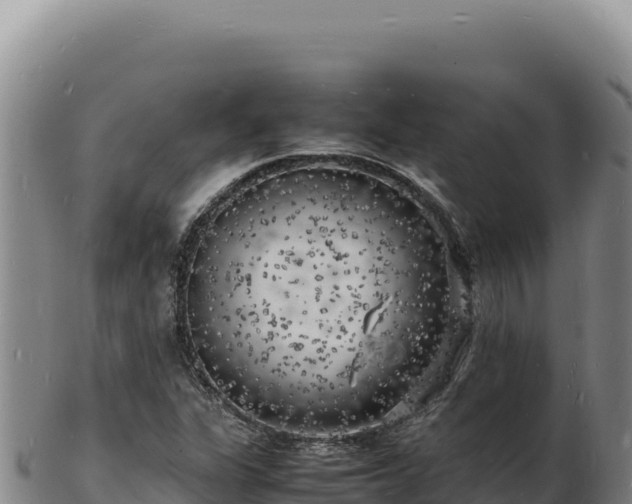 X0000103251311200809041100