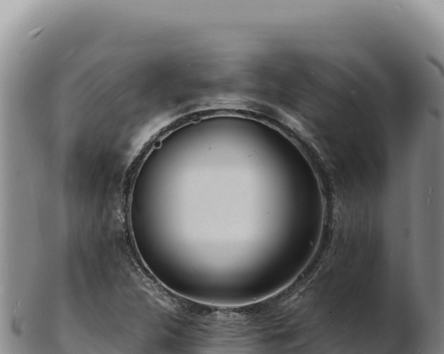 X0000103251312200809041100