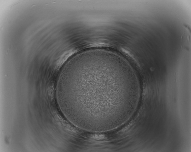 X0000103251313200809041100