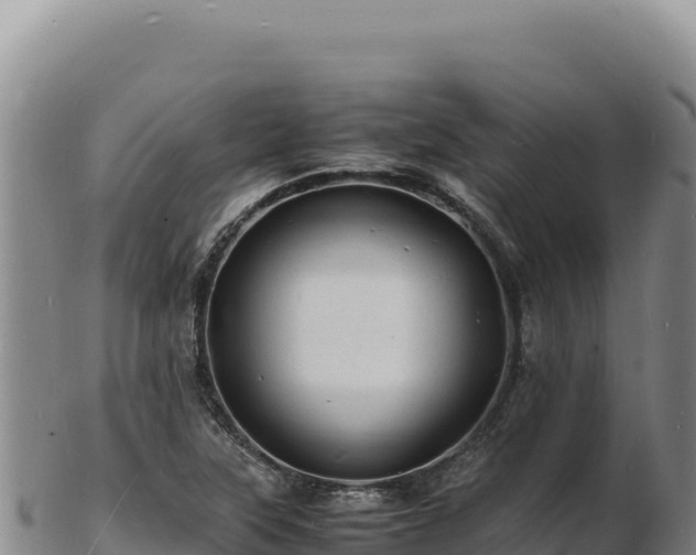 X0000103251315200809041100