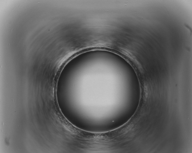 X0000103251316200809041100