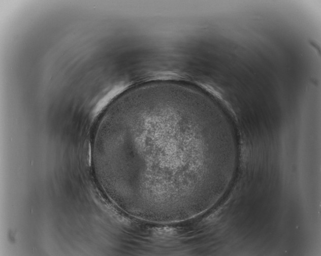 X0000103251317200809041100
