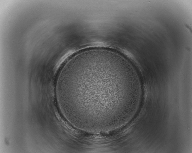 X0000103251318200809041100