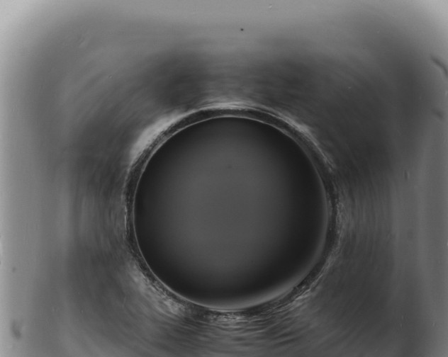 X0000103251319200809041100