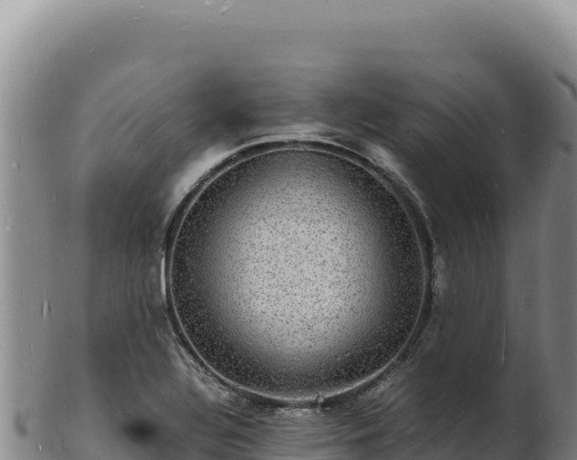 X0000103251320200809041100
