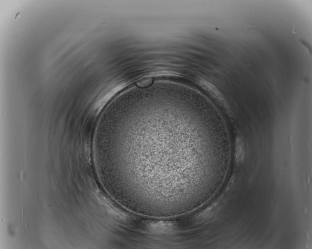 X0000103251321200809041100