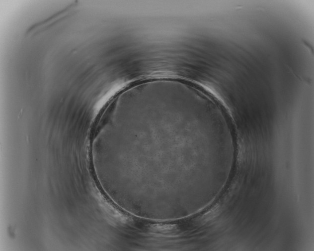 X0000103251325200809041100