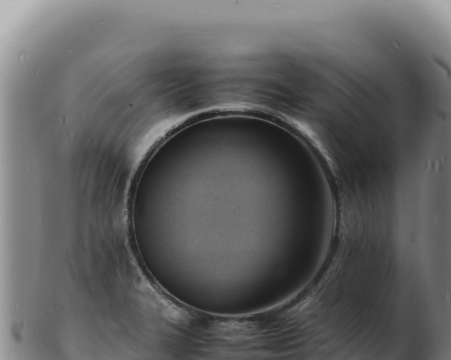 X0000103251327200809041100