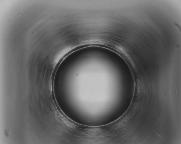 X0000103251328200809041100