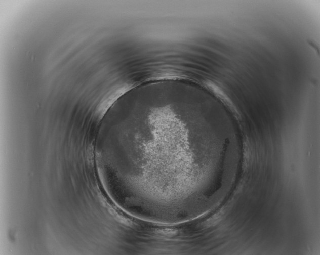 X0000103251329200809041100