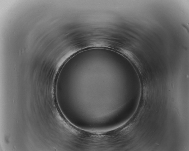 X0000103251331200809041100