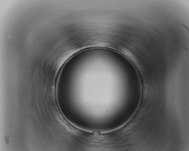 X0000103251332200809041100