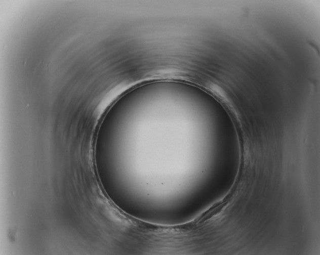 X0000103251336200809041100