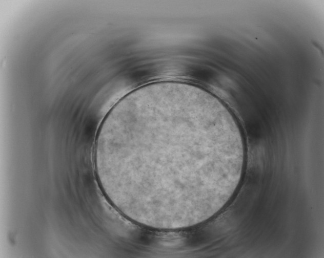 X0000103251338200809041100