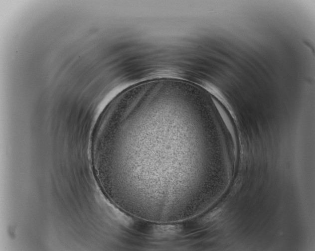 X0000103251339200809041100