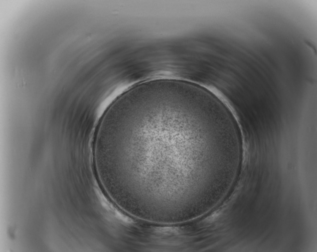 X0000103251341200809041100