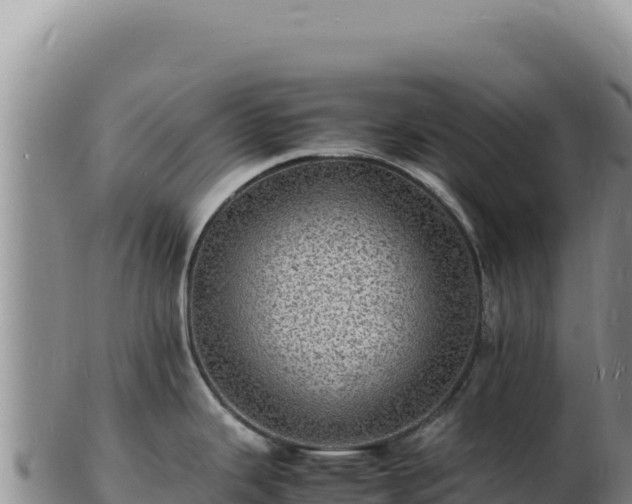X0000103251343200809041100
