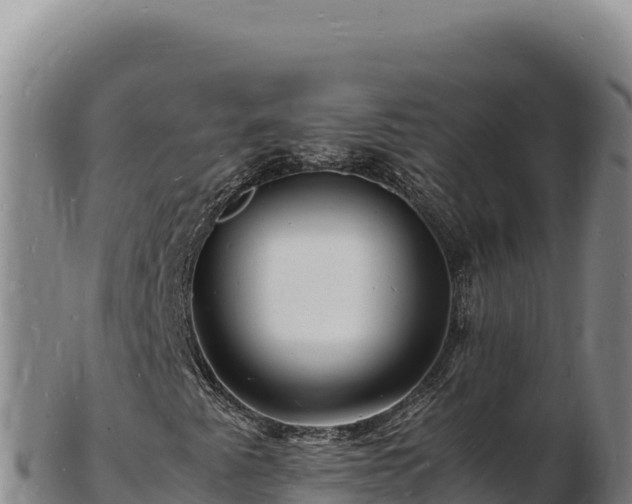 X0000103251345200809041100