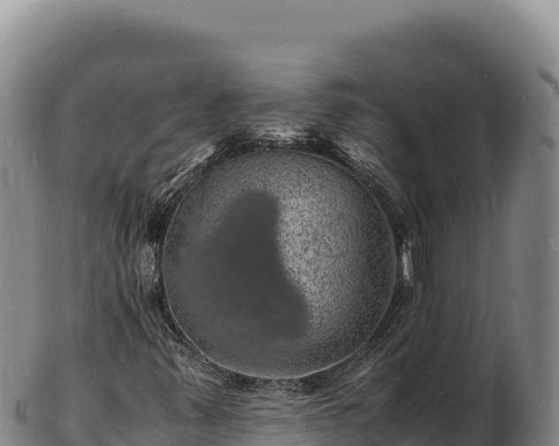 X0000103251347200809041100