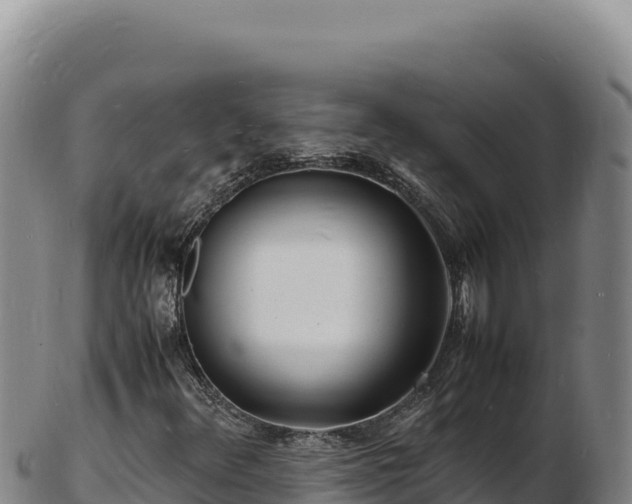 X0000103251348200809041100
