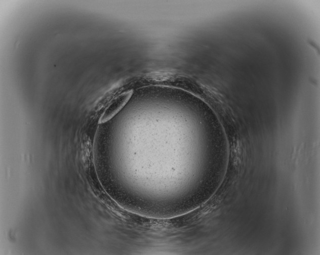 X0000103251349200809041100