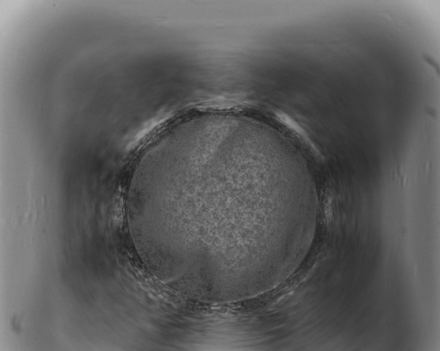 X0000103251350200809041100