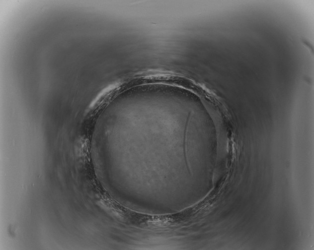X0000103251351200809041100