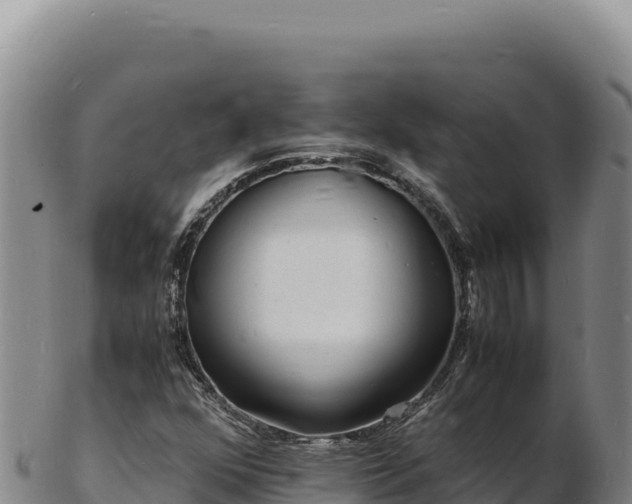 X0000103251352200809041100