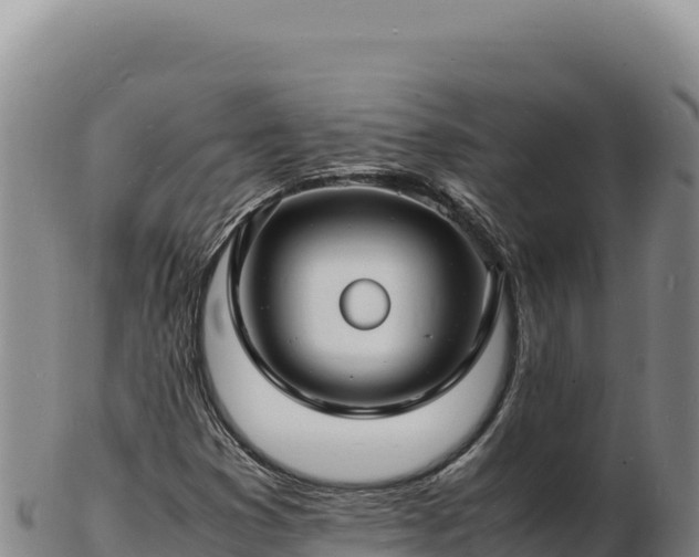 X0000103251353200809041100