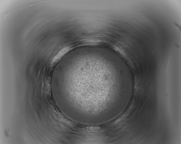 X0000103251354200809041100