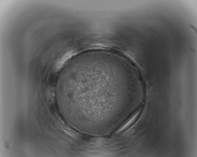 X0000103251355200809041100
