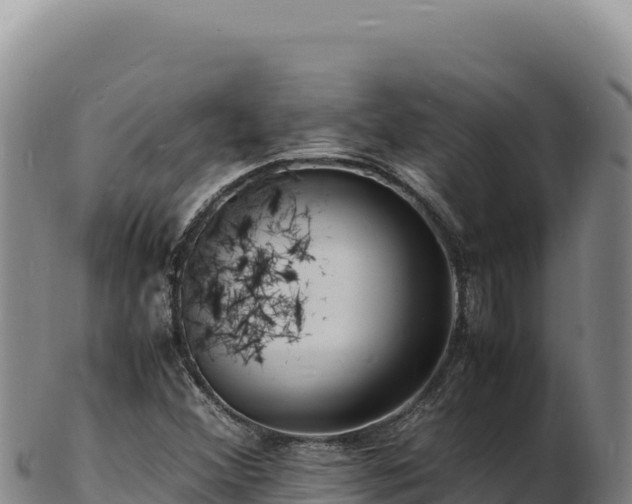 X0000103251356200809041100