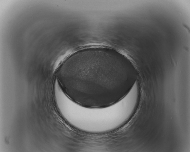 X0000103251357200809041100