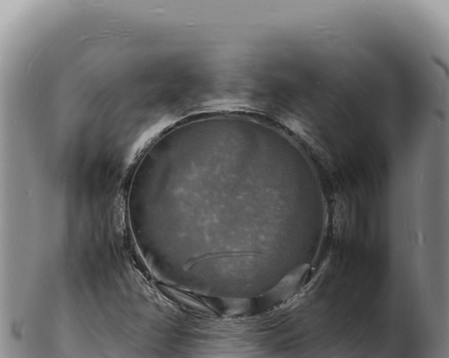 X0000103251358200809041100