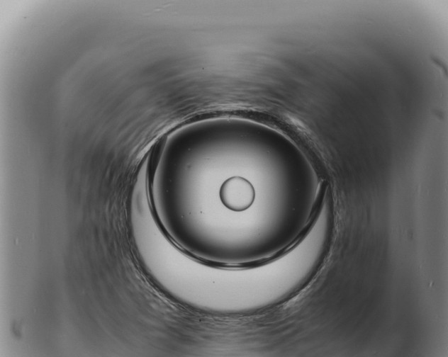 X0000103251361200809041100