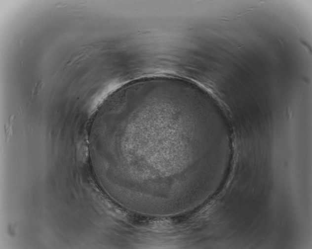 X0000103251363200809041100
