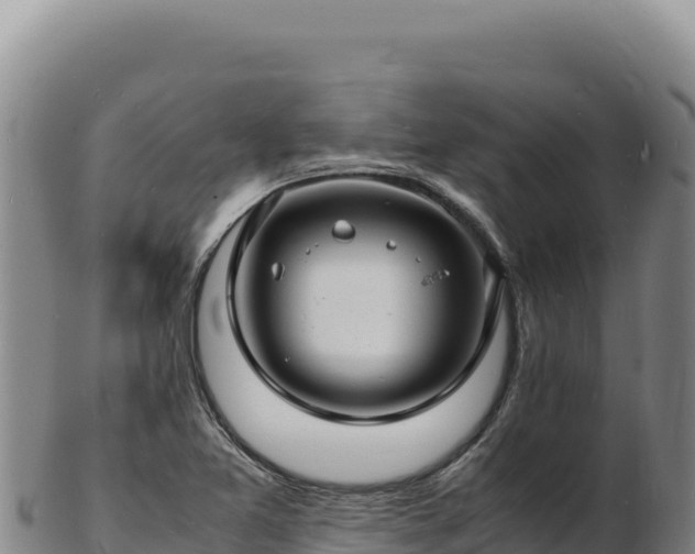 X0000103251365200809041100