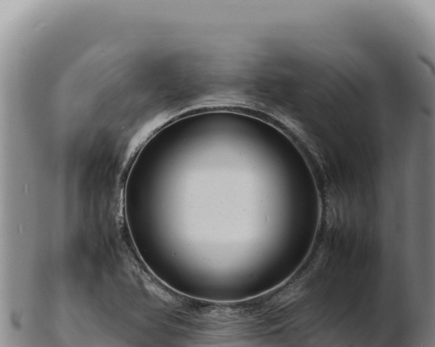 X0000103251366200809041100