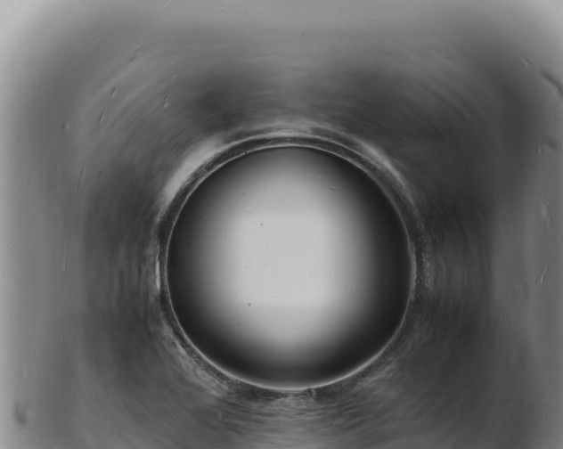 X0000103251368200809041100