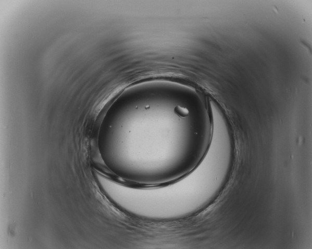 X0000103251369200809041100