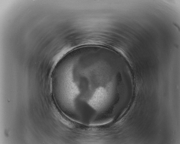 X0000103251371200809041059
