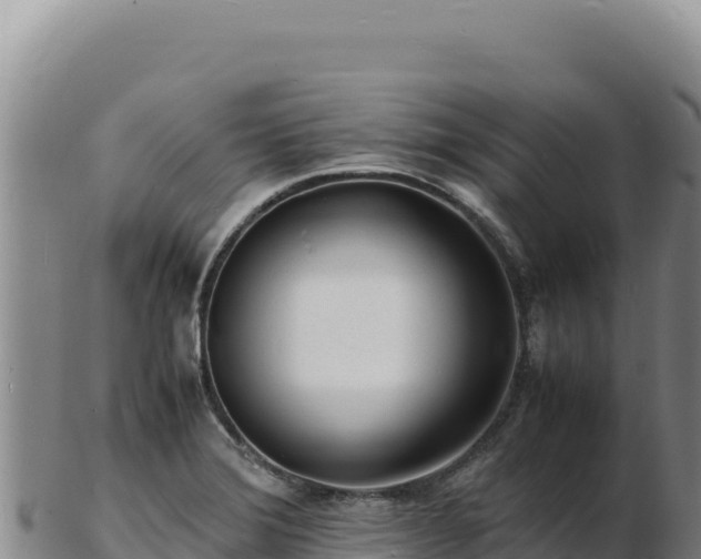 X0000103251372200809041059